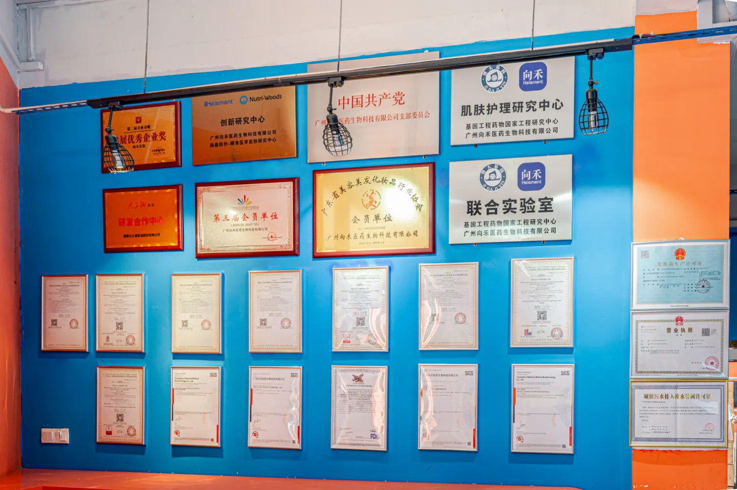 Wall display of Helement certificates and awards